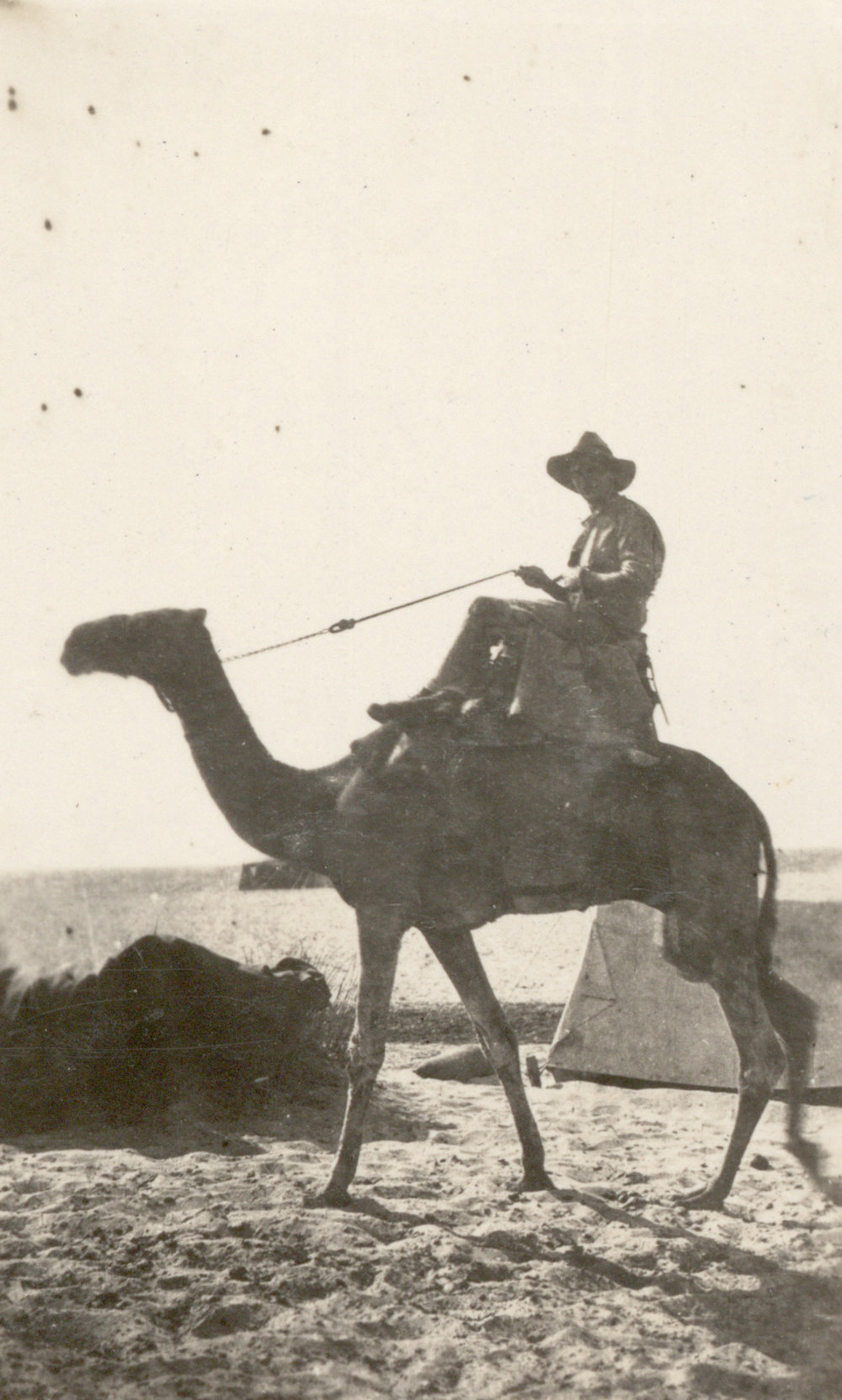 Photo from page 11 of album WWI Photograph Album- Featherston (NZ), Egypt, Gallipoli &amp; Sinai and Palestine.
