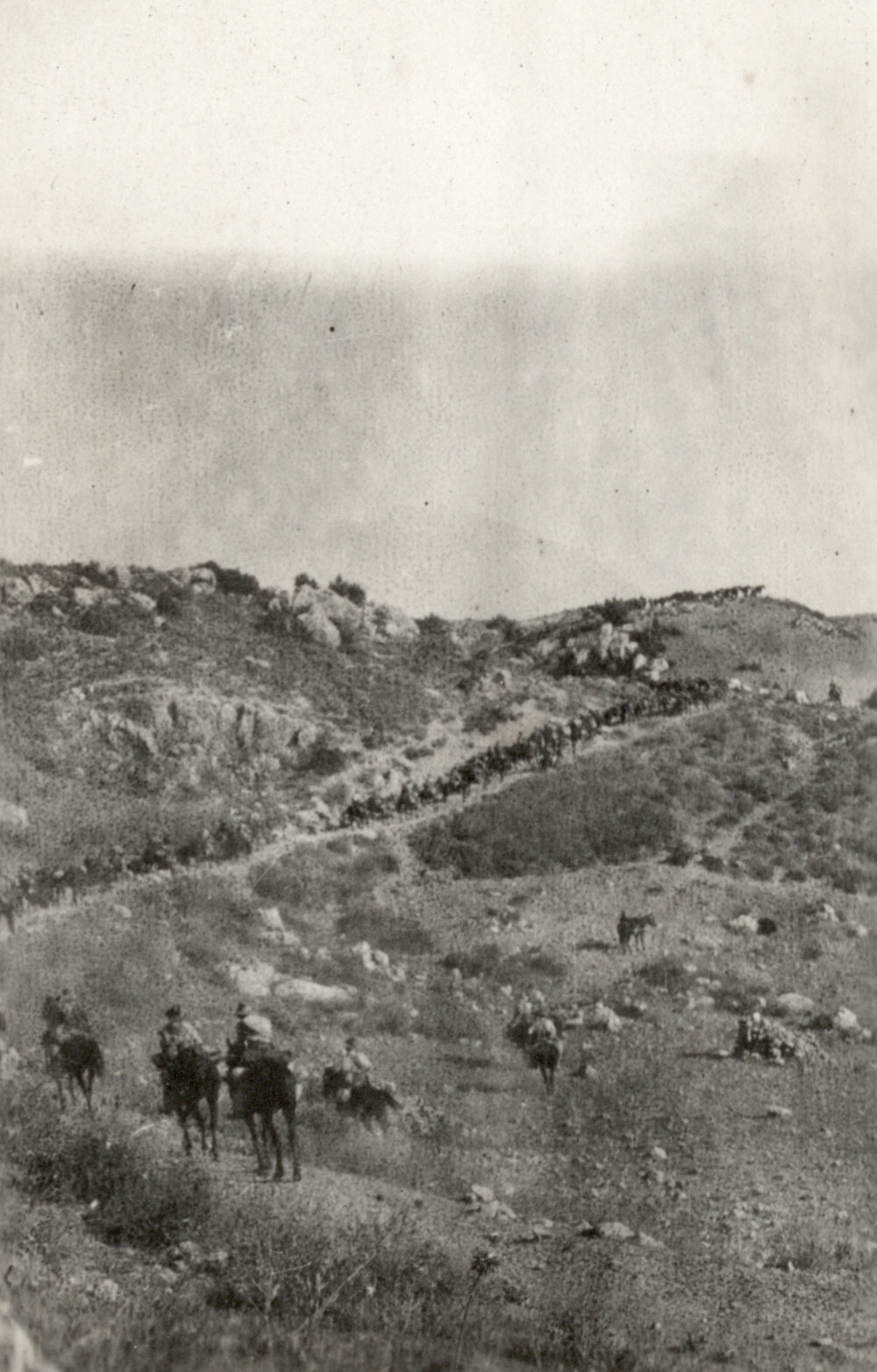 Photo from page 12 of album WWI Photograph Album- Featherston (NZ), Egypt, Gallipoli &amp; Sinai and Palestine.