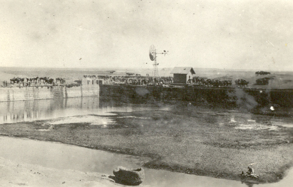 Photo from page 13 of album WWI Photograph Album- Featherston (NZ), Egypt, Gallipoli &amp; Sinai and Palestine.