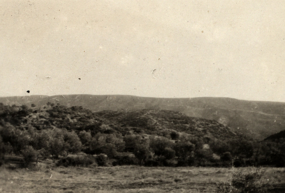Photo from page 15 of album WWI Photograph Album- Featherston (NZ), Egypt, Gallipoli &amp; Sinai and Palestine.