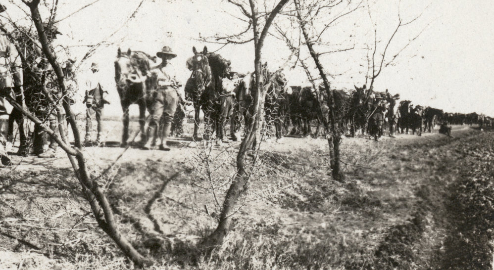 Photo from page 17 of album WWI Photograph Album- Featherston (NZ), Egypt, Gallipoli &amp; Sinai and Palestine.
