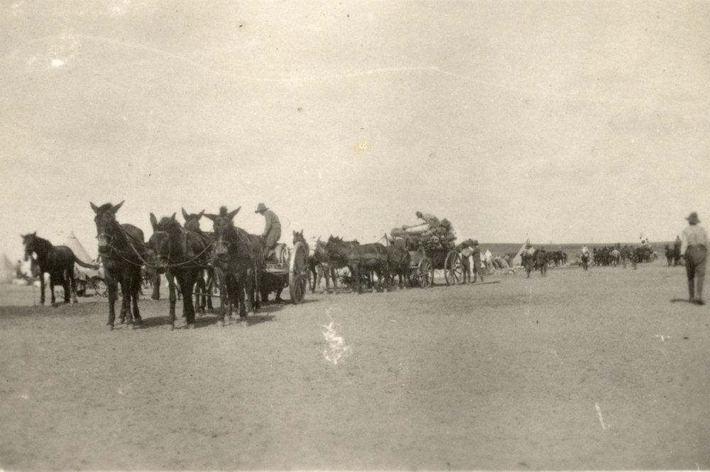 Photo from page 17 of album WWI Photograph Album- Featherston (NZ), Egypt, Gallipoli &amp; Sinai and Palestine.