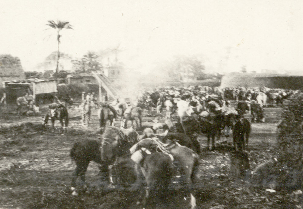 Photo from page 17 of album WWI Photograph Album- Featherston (NZ), Egypt, Gallipoli &amp; Sinai and Palestine.