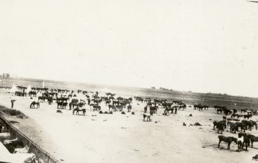 Photo from page 18 of album WWI Photograph Album- Featherston (NZ), Egypt, Gallipoli &amp; Sinai and Palestine.