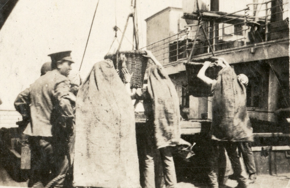 Photo from page 03 of album WWI Photograph Album- Egypt, Gallipoli &amp; Sinai and Palestine.