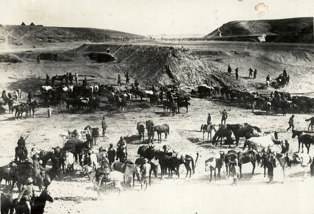 Photo from page 05 of album WWI Photograph Album- Egypt, Gallipoli &amp; Sinai and Palestine.