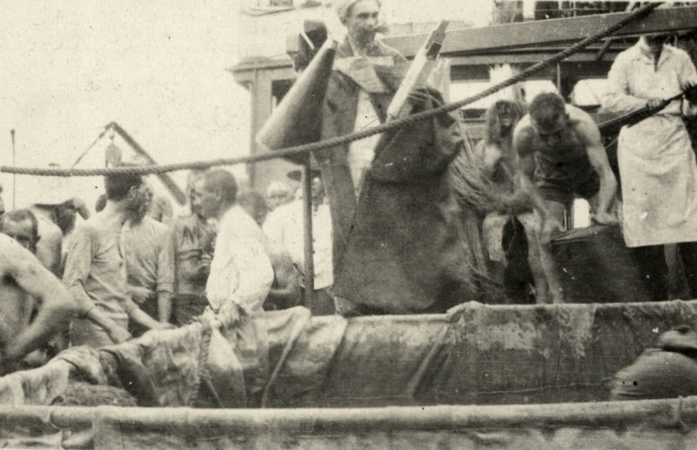 Photo from page 09 of album WWI Photograph Album- Egypt, Gallipoli &amp; Sinai and Palestine.