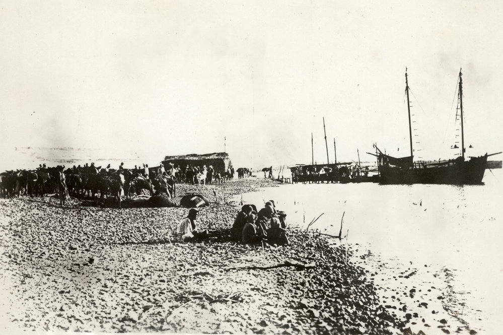 Photo from page 14 of album WWI Photograph Album- Egypt, Gallipoli &amp; Sinai and Palestine.