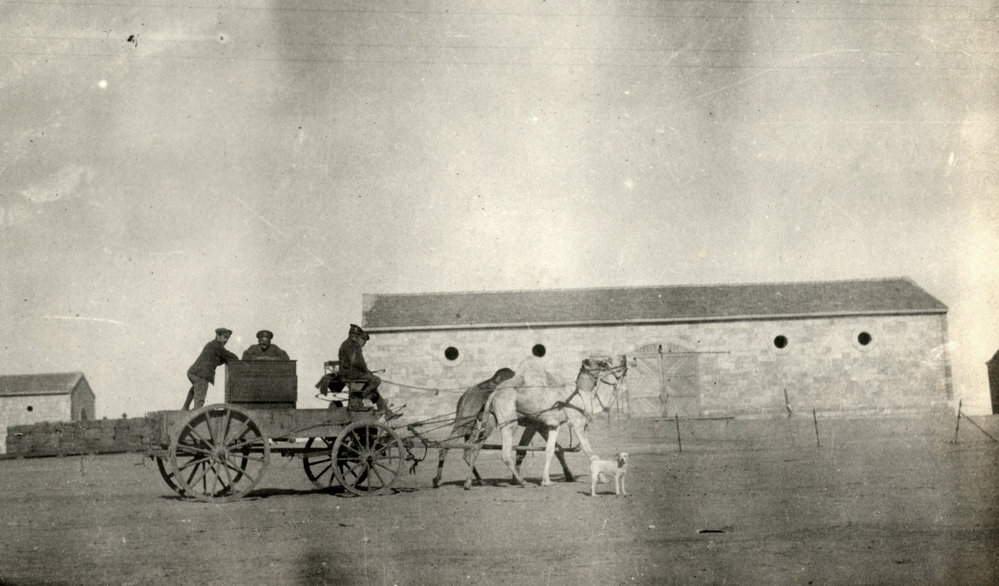 Photo from page 17 of album WWI Photograph Album- Egypt, Gallipoli &amp; Sinai and Palestine.