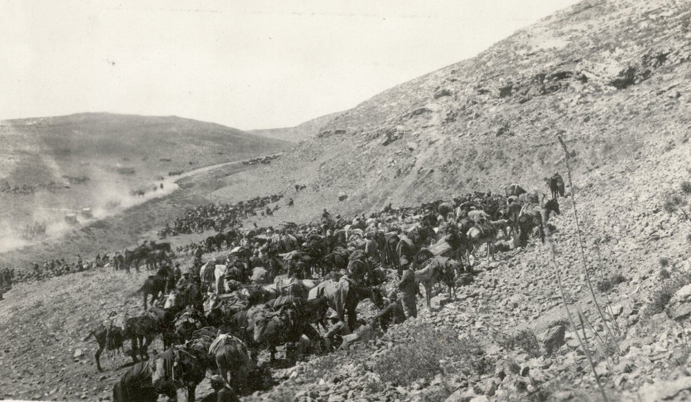 Photo from page 23 of album WWI Photograph Album- Egypt, Gallipoli &amp; Sinai and Palestine.