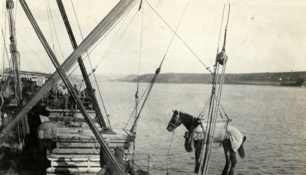 Photo from page 26 of album WWI Photograph Album- Egypt, Gallipoli &amp; Sinai and Palestine.