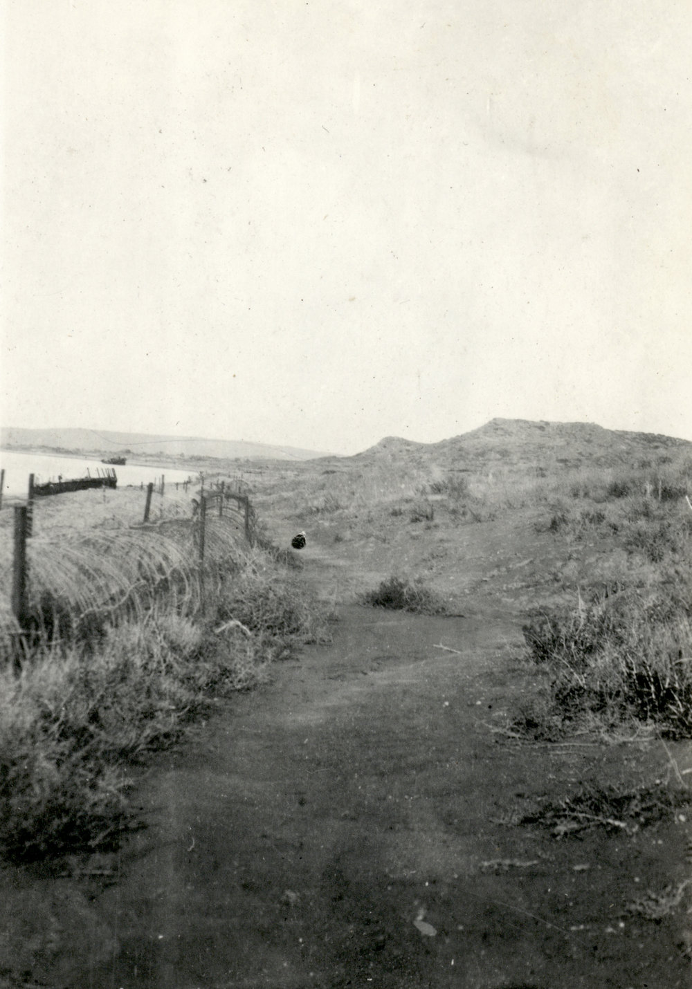 Photo from page 27 of album WWI Photograph Album- Egypt, Gallipoli &amp; Sinai and Palestine.