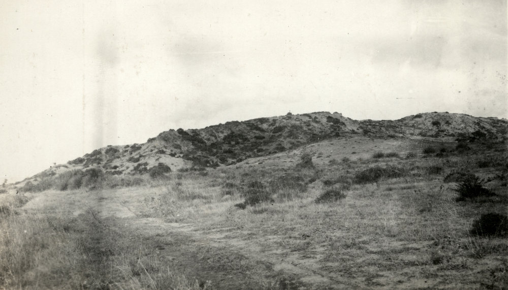 Photo from page 28 of album WWI Photograph Album- Egypt, Gallipoli &amp; Sinai and Palestine.