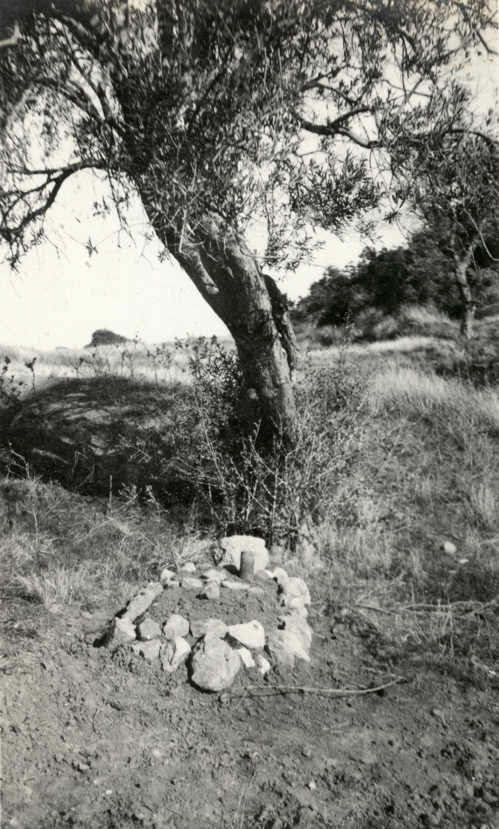 Photo from page 28 of album WWI Photograph Album- Egypt, Gallipoli &amp; Sinai and Palestine.