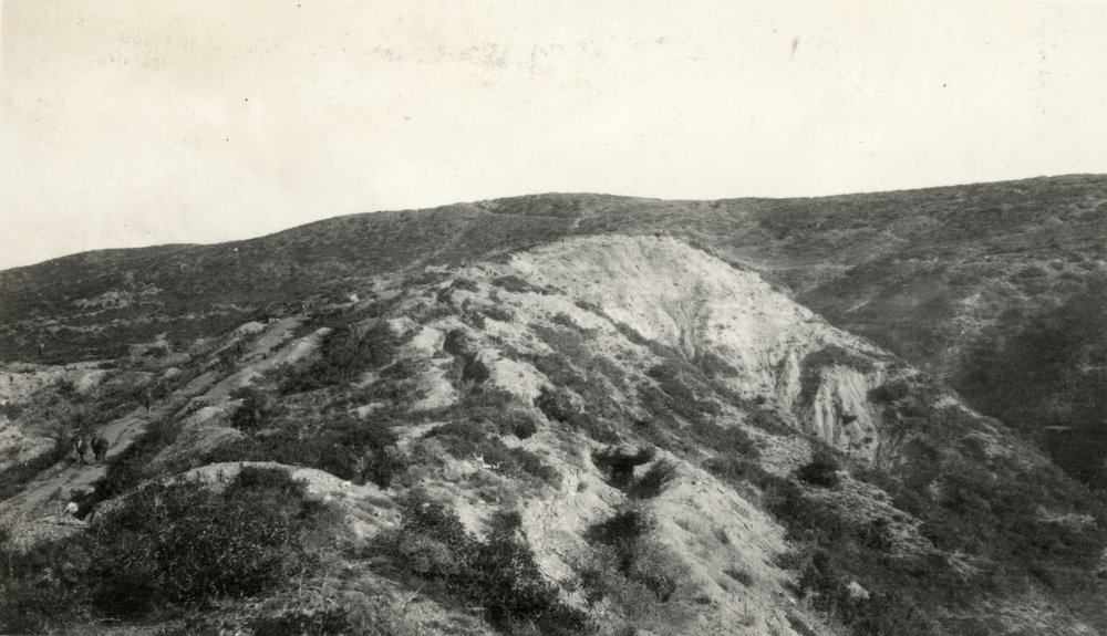 Photo from page 29 of album WWI Photograph Album- Egypt, Gallipoli &amp; Sinai and Palestine.