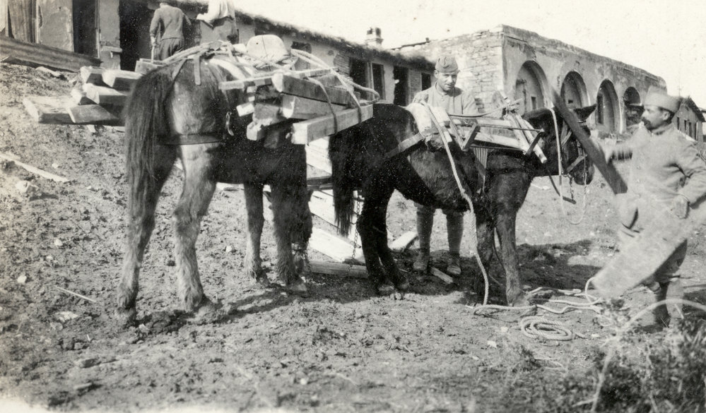 Photo from page 30 of album WWI Photograph Album- Egypt, Gallipoli &amp; Sinai and Palestine.