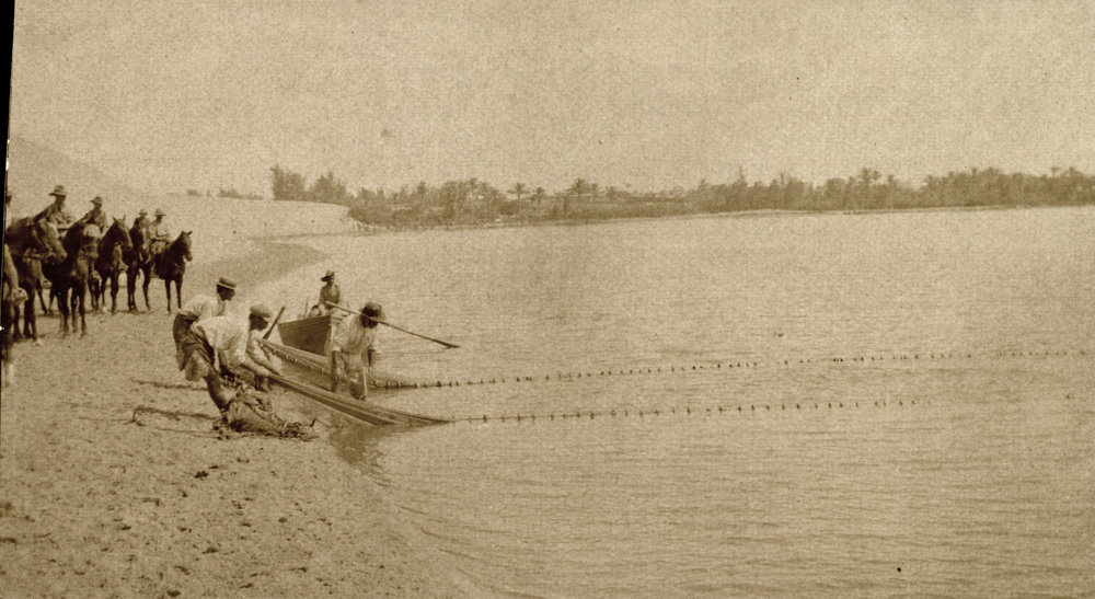 Photo from page 34 of album WWI Photograph Album- Egypt, Gallipoli &amp; Sinai and Palestine.