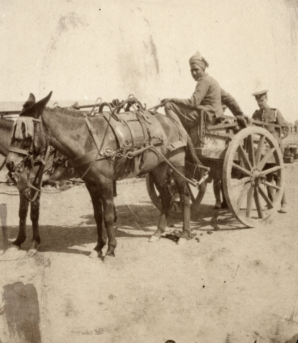 Photo from page 06 of album WWI Photograph Album - Nurses and Medical Services in Egypt, Gallipoli and Britain.