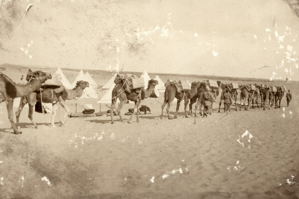 Photo from page 06 of album WWI Photograph Album - Nurses and Medical Services in Egypt, Gallipoli and Britain.