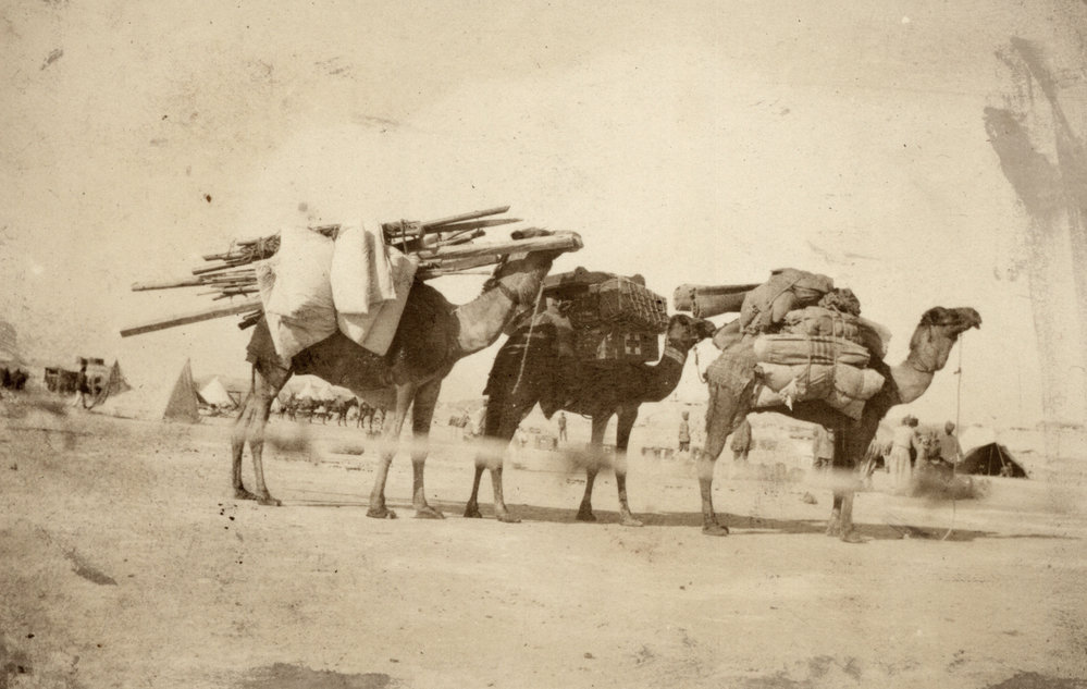 Photo from page 06 of album WWI Photograph Album - Nurses and Medical Services in Egypt, Gallipoli and Britain.