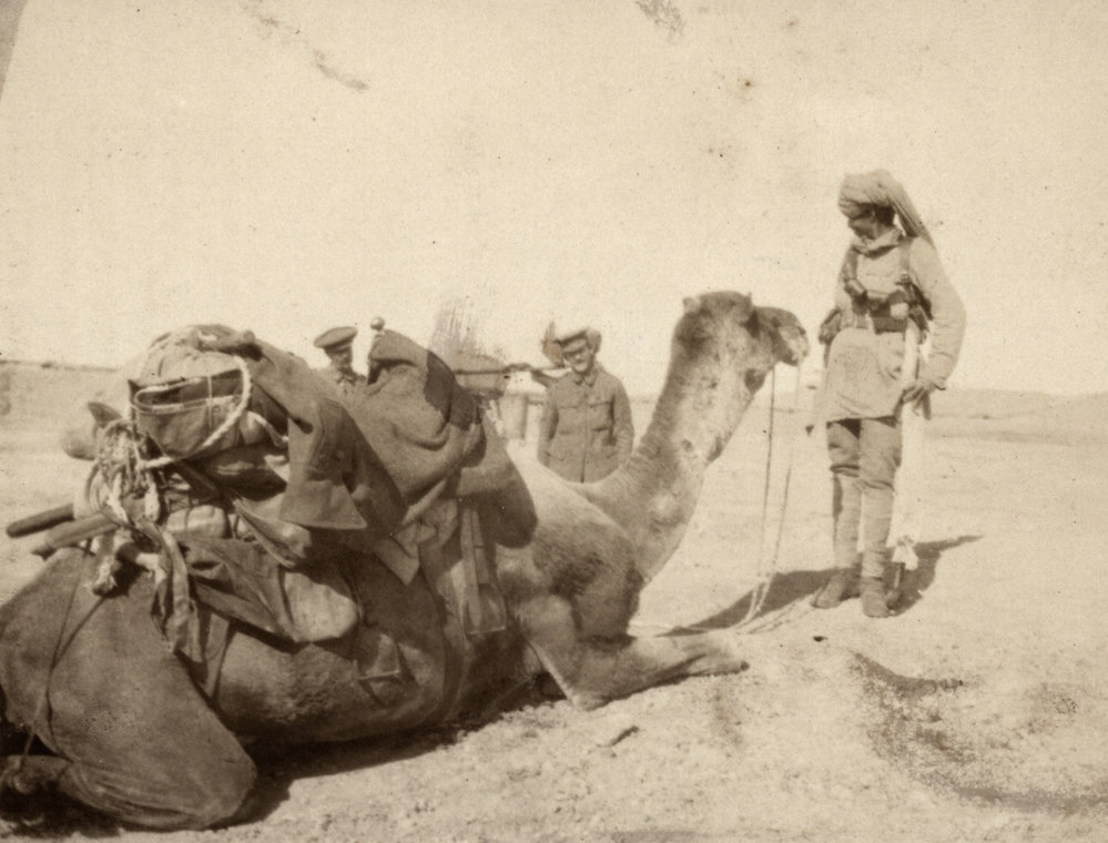 Photo from page 06 of album WWI Photograph Album - Nurses and Medical Services in Egypt, Gallipoli and Britain.