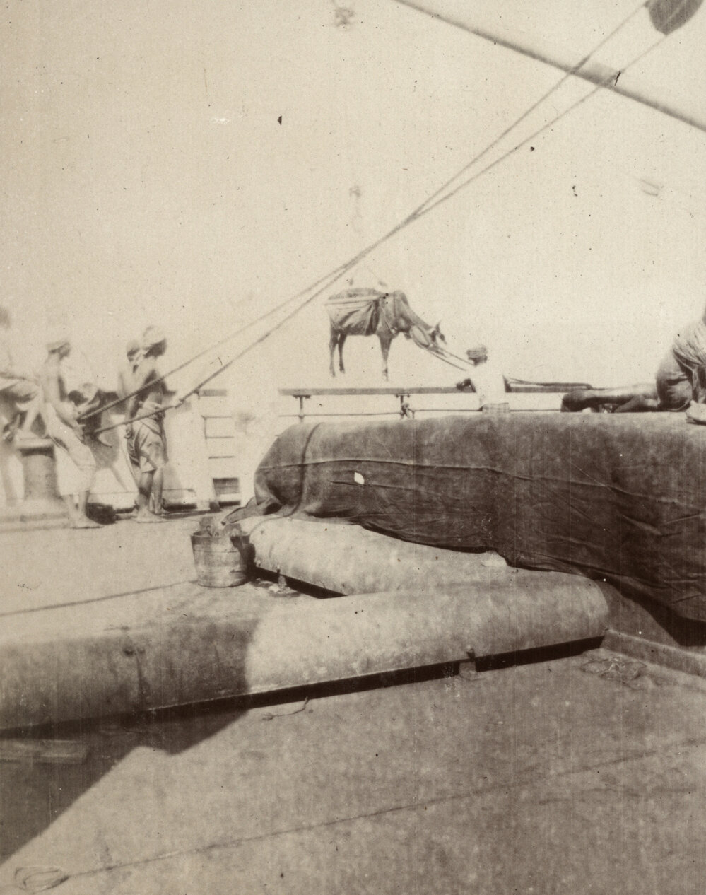 Photo from page 16 of album WWI Photograph Album - Nurses and Medical Services in Egypt, Gallipoli and Britain.
