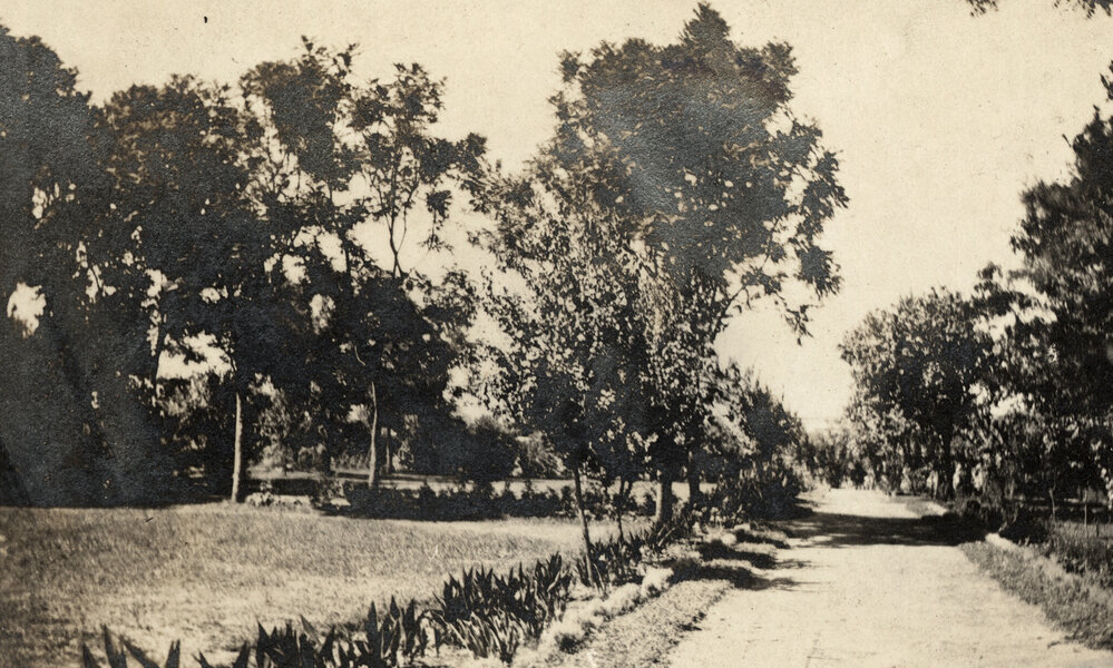 Photo from page 31 of album WWI Photograph Album - Nurses and Medical Services in Egypt, Gallipoli and Britain.