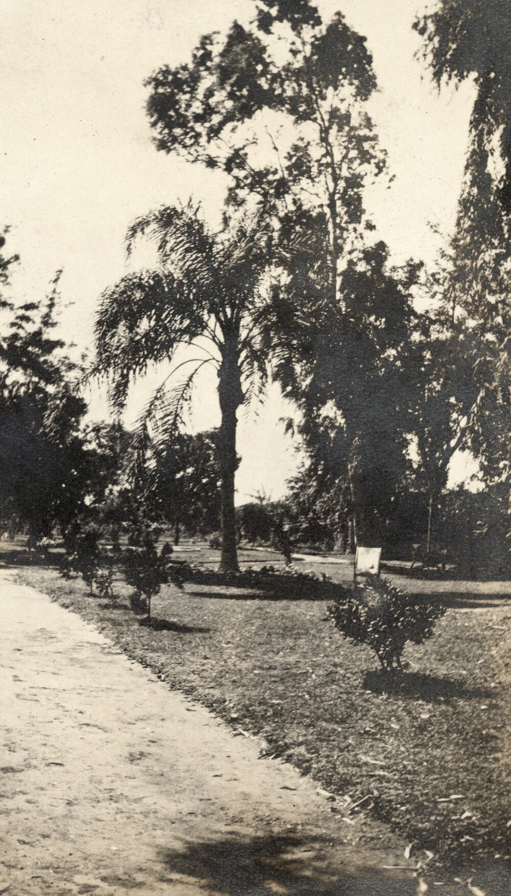 Photo from page 32 of album WWI Photograph Album - Nurses and Medical Services in Egypt, Gallipoli and Britain.