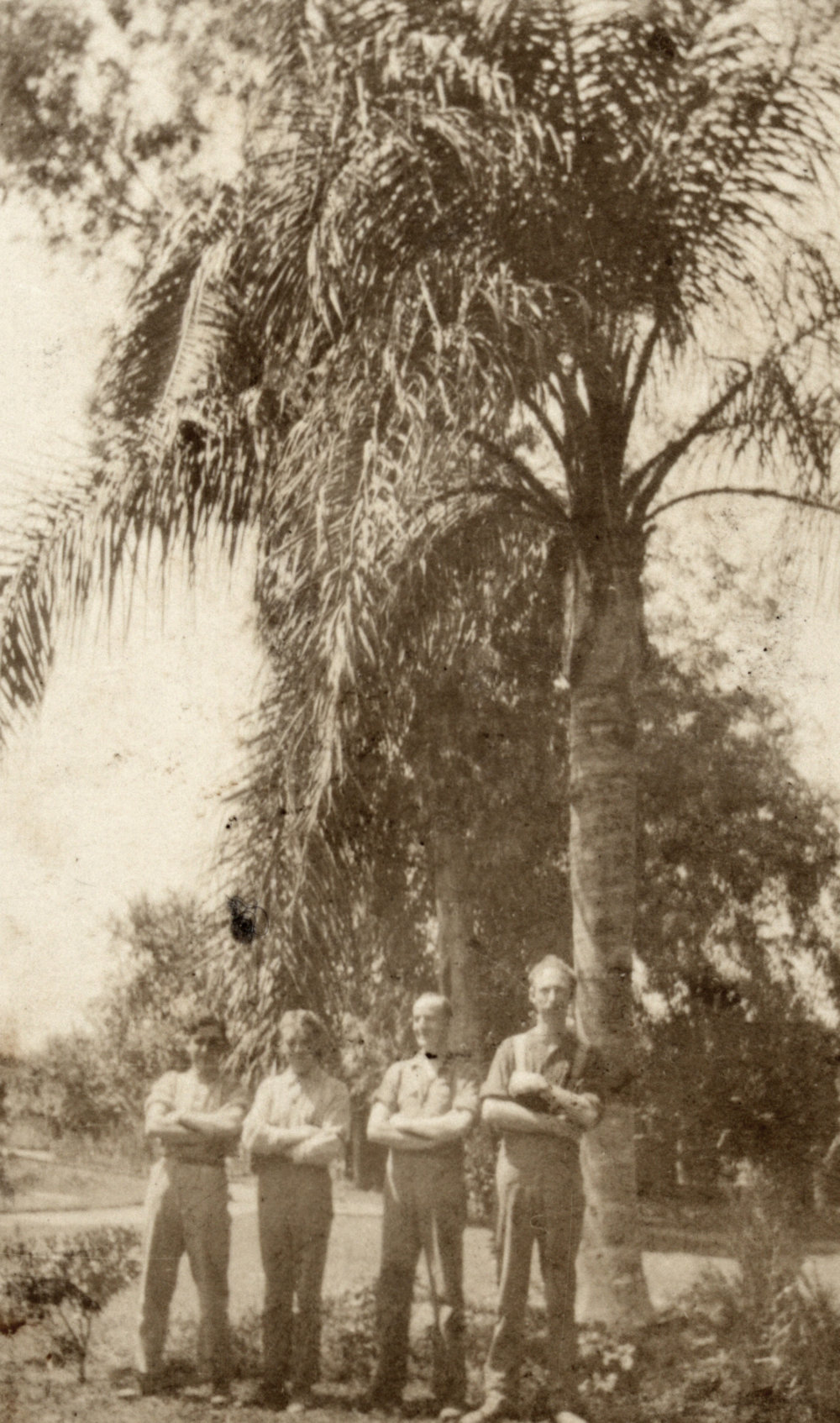Photo from page 35 of album WWI Photograph Album - Nurses and Medical Services in Egypt, Gallipoli and Britain.