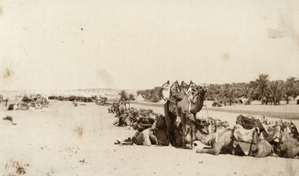 Photo from page 36 of album WWI Photograph Album - Nurses and Medical Services in Egypt, Gallipoli and Britain.