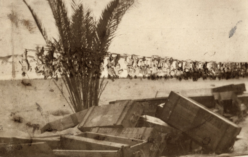 Photo from page 36 of album WWI Photograph Album - Nurses and Medical Services in Egypt, Gallipoli and Britain.