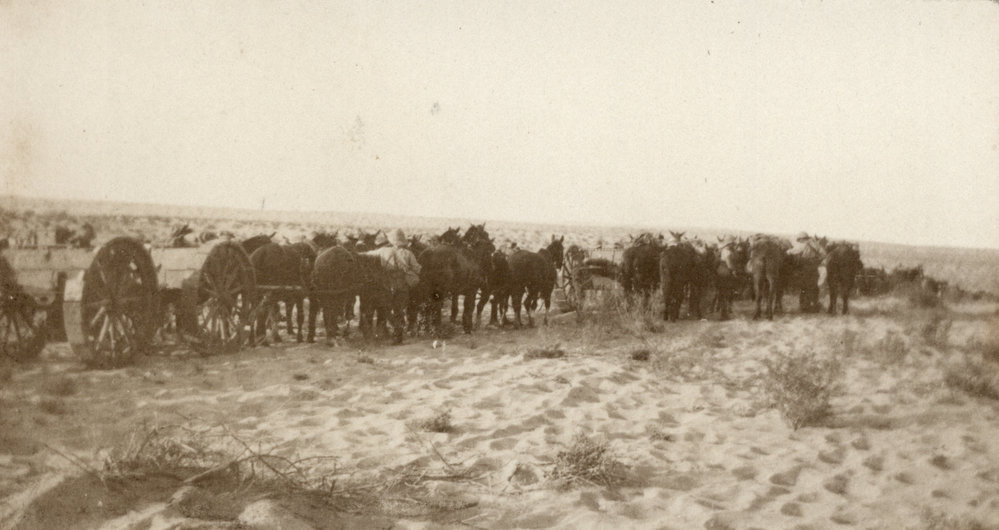 Photo from page 36 of album WWI Photograph Album - Nurses and Medical Services in Egypt, Gallipoli and Britain.