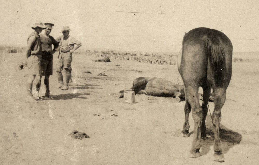 Photo from page 50 of album WWI Photograph Album - Nurses and Medical Services in Egypt, Gallipoli and Britain.
