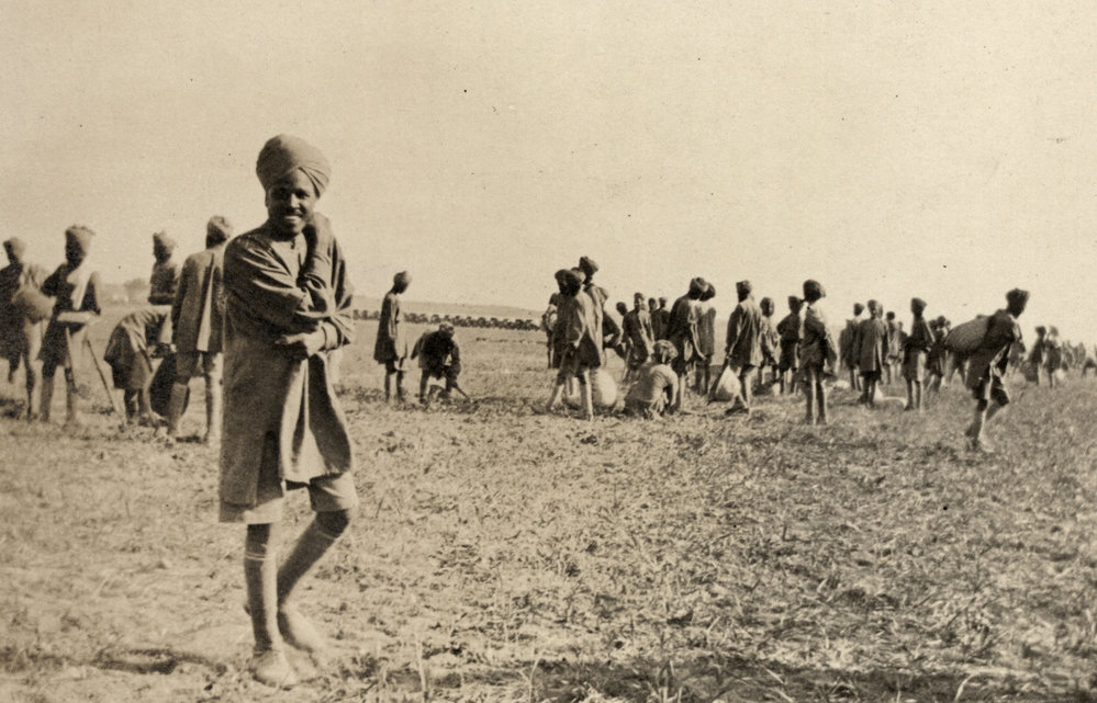 Photo from page 50 of album WWI Photograph Album - Nurses and Medical Services in Egypt, Gallipoli and Britain.
