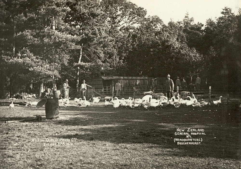 Photo from page 32 of album WWI Photograph Album- New Zealand General Hospitals, Britain.