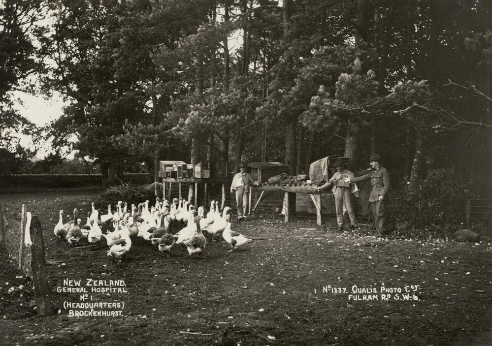 Photo from page 32 of album WWI Photograph Album- New Zealand General Hospitals, Britain.