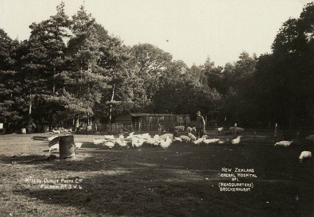 Photo from page 33 of album WWI Photograph Album- New Zealand General Hospitals, Britain.