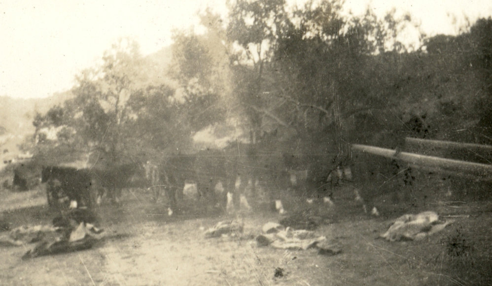 Photo from page 09 of album Pre WWI and WWI Photograph Album- Duntroon, Egypt and Gallipoli.