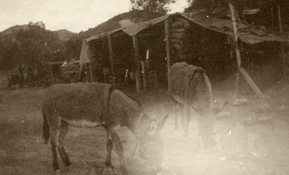 Photo from page 09 of album Pre WWI and WWI Photograph Album- Duntroon, Egypt and Gallipoli.