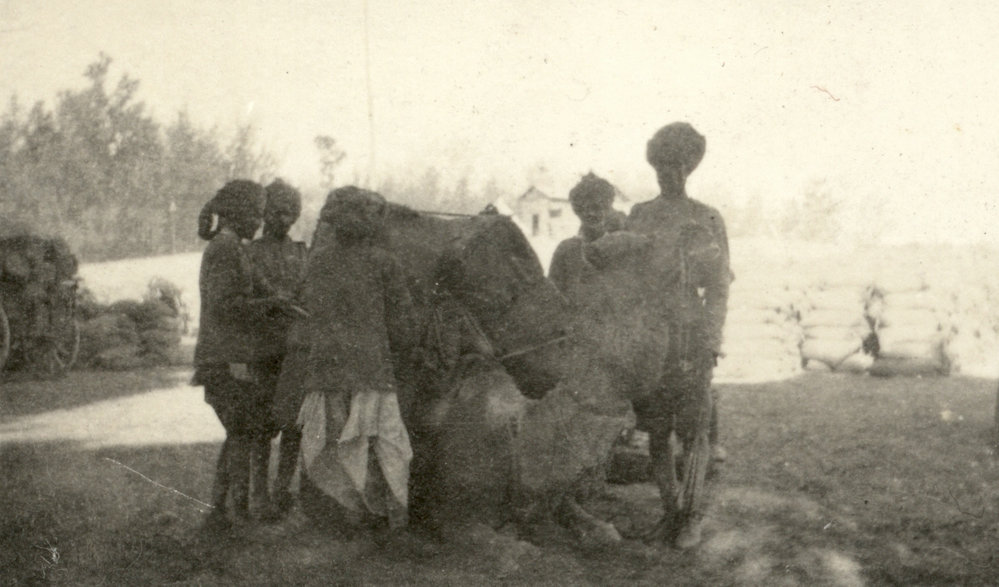 Photo from page 10 of album Pre WWI and WWI Photograph Album- Duntroon, Egypt and Gallipoli.