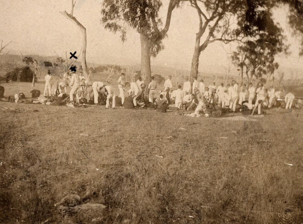 Photo from page 11 of album Pre WWI and WWI Photograph Album- Duntroon, Egypt and Gallipoli.