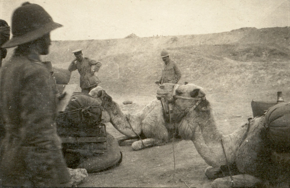 Photo from page 12 of album WWI Photograph Album- Egypt and Gallipoli.