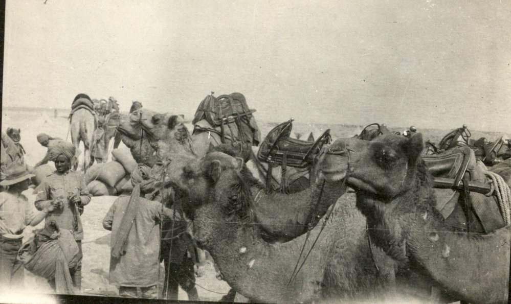 Photo from page 16 of album WWI Photograph Album- Egypt and Gallipoli.