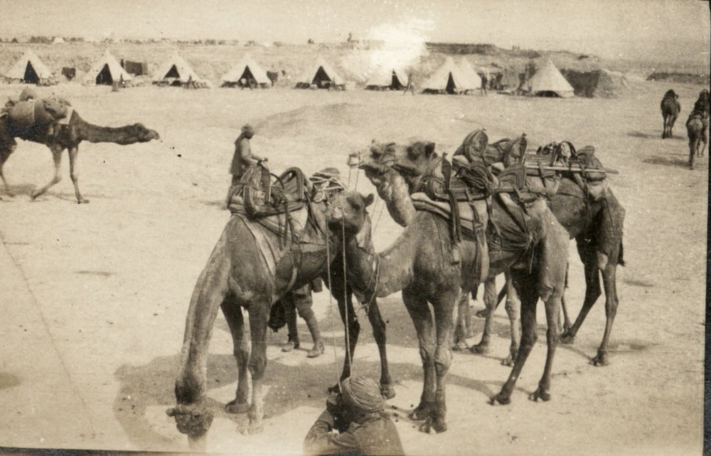 Photo from page 16 of album WWI Photograph Album- Egypt and Gallipoli.