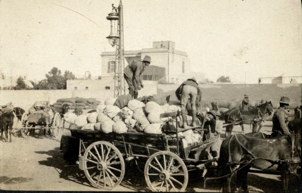 Photo from page 16 of album WWI Photograph Album- Egypt and Gallipoli.