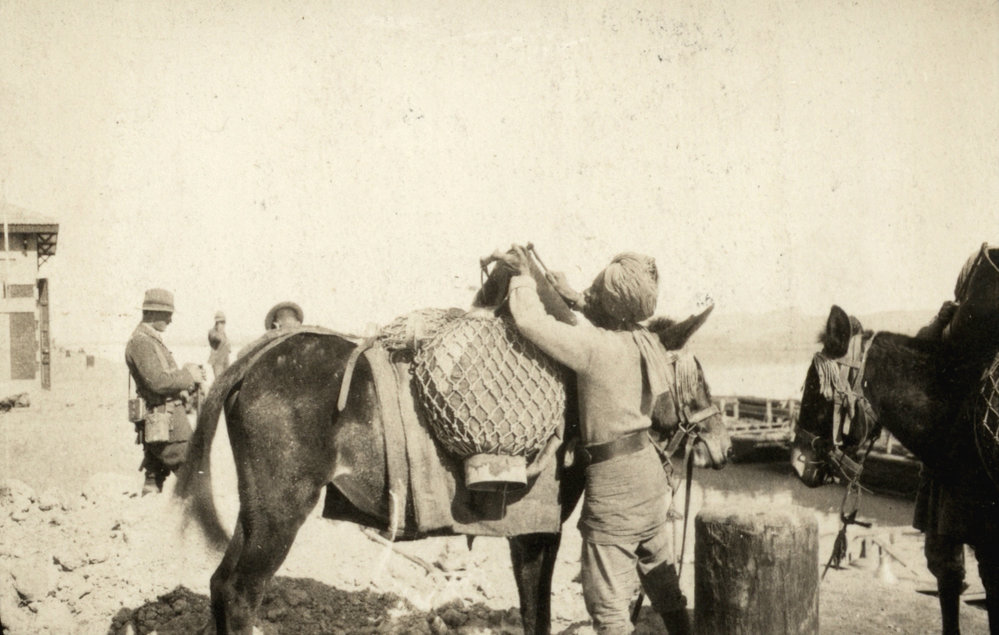 Photo from page 16 of album WWI Photograph Album- Egypt and Gallipoli.