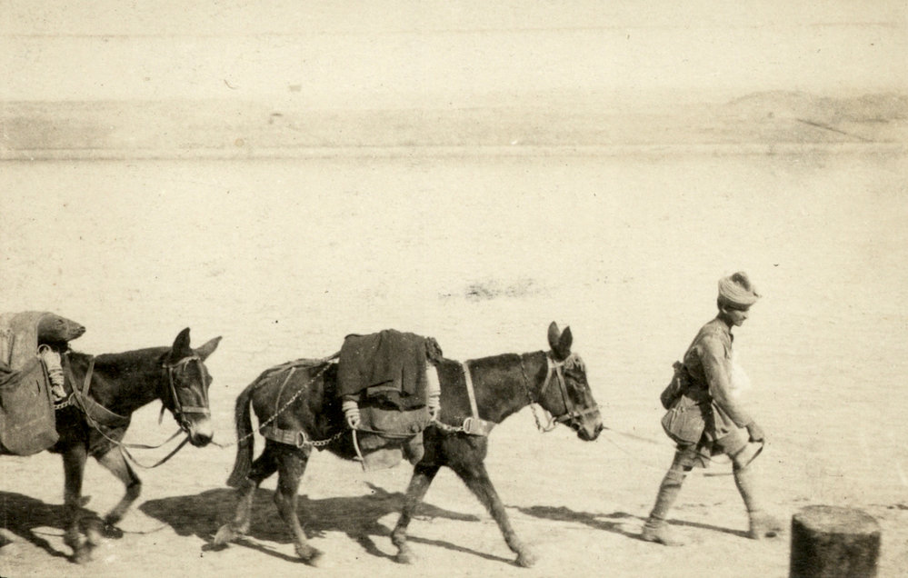 Photo from page 17 of album WWI Photograph Album- Egypt and Gallipoli.