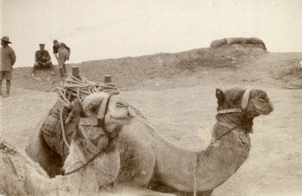 Photo from page 18 of album WWI Photograph Album- Egypt and Gallipoli.
