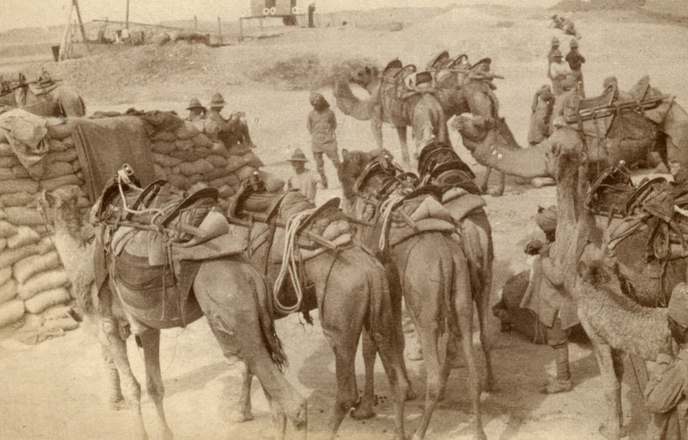 Photo from page 18 of album WWI Photograph Album- Egypt and Gallipoli.