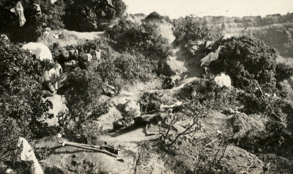 Photo from page 19 of album WWI Photograph Album- Egypt and Gallipoli.